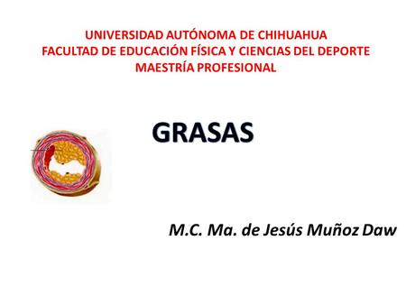 M.C. Ma. de Jesús Muñoz Daw UNIVERSIDAD AUTÓNOMA DE CHIHUAHUA FACULTAD DE EDUCACIÓN FÍSICA Y CIENCIAS DEL DEPORTE MAESTRÍA PROFESIONAL.