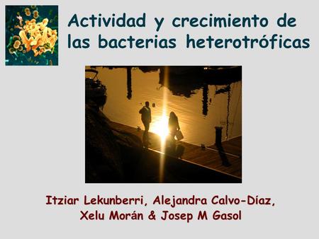 Actividad y crecimiento de las bacterias heterotr ó ficas Itziar Lekunberri, Alejandra Calvo-D í az, Xelu Mor á n & Josep M Gasol.