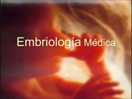 Embriología Médica.