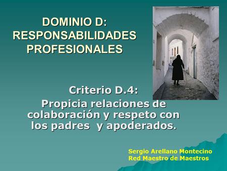 DOMINIO D: RESPONSABILIDADES PROFESIONALES