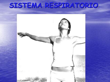 SISTEMA RESPIRATORIO.