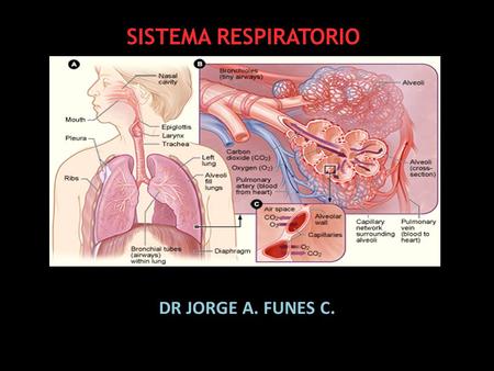 SISTEMA RESPIRATORIO DR JORGE A. FUNES C..