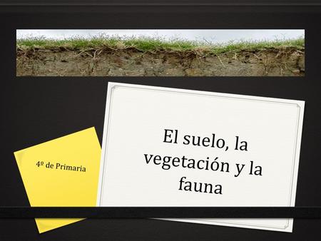 El suelo, la vegetación y la fauna