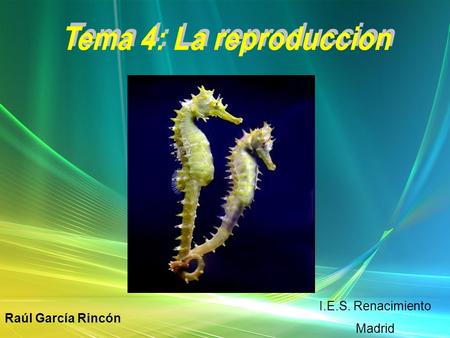 Tema 4: La reproduccion I.E.S. Renacimiento Madrid Raúl García Rincón.