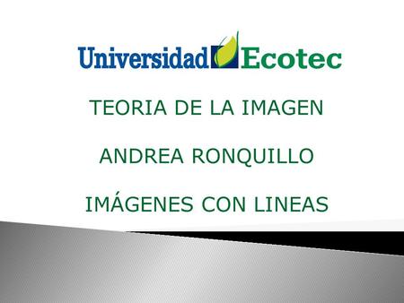 TEORIA DE LA IMAGEN ANDREA RONQUILLO IMÁGENES CON LINEAS.