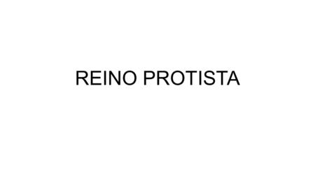 REINO PROTISTA.