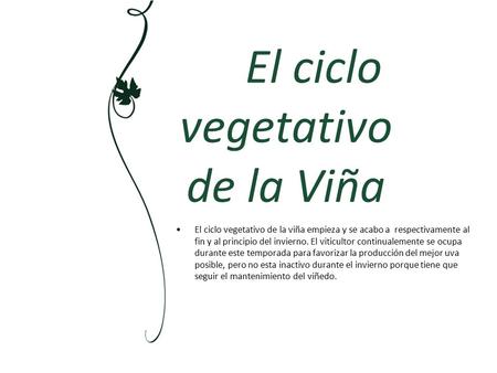 El ciclo vegetativo de la Viña
