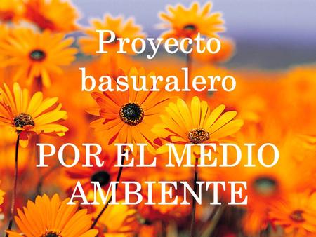 Proyecto basuralero POR EL MEDIO AMBIENTE