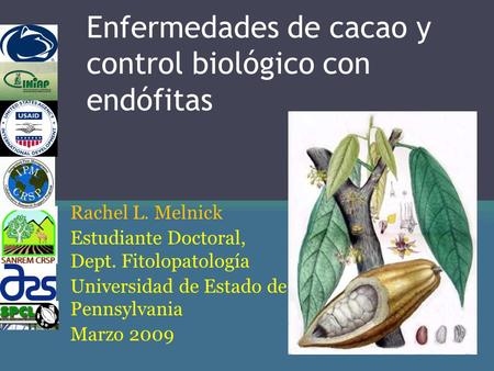 Enfermedades de cacao y control biológico con endófitas