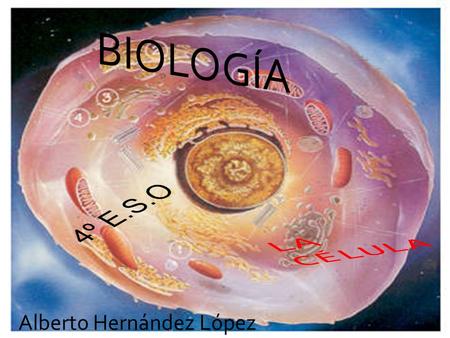 Alberto Hernández López. 1.- Nuestro organismo 1.- Nuestro organismo está formado por células está formado por células 2.- Los orgánulos 2.- Los orgánulos.