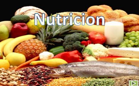 Agenda Concepto de Nutricion La nutricion Importancia de la Nutricion