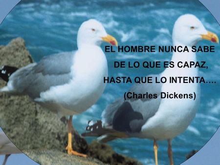 EL HOMBRE NUNCA SABE DE LO QUE ES CAPAZ, HASTA QUE LO INTENTA….