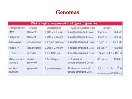 Genomas.