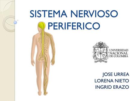 SISTEMA NERVIOSO PERIFERICO