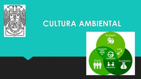 CULTURA AMBIENTAL.