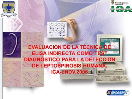 EVALUACION DE LA TÉCNICA DE ELISA INDIRECTA COMO TEST DIAGNÓSTICO PARA LA DETECCION DE LEPTOSPIROSIS HUMANA, ICA-LNDV,2006.