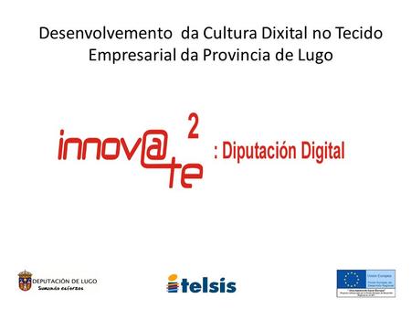 Desenvolvemento da Cultura Dixital no Tecido Empresarial da Provincia de Lugo.