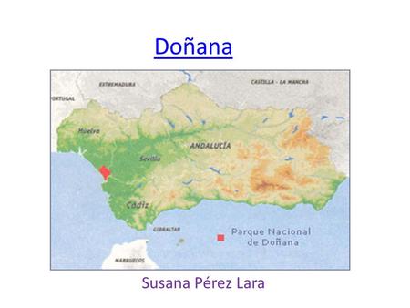 Doñana Susana Pérez Lara.