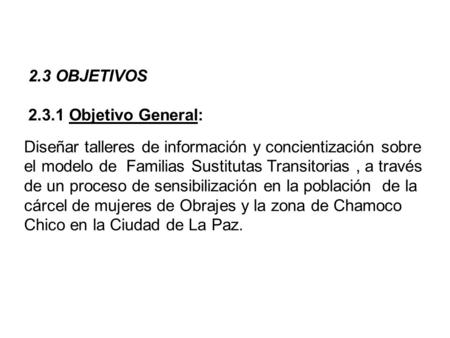 Diseñar talleres de información y concientización sobre el modelo de Familias Sustitutas Transitorias, a través de un proceso de sensibilización en la.
