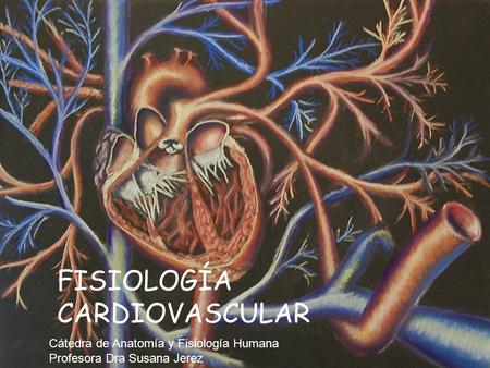 FISIOLOGÍA CARDIOVASCULAR Cátedra de Anatomía y Fisiología Humana