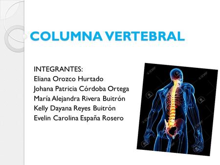 COLUMNA VERTEBRAL INTEGRANTES: Eliana Orozco Hurtado