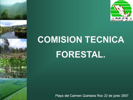 COMISION TECNICA FORESTAL.