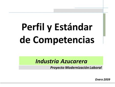 Perfil y Estándar de Competencias