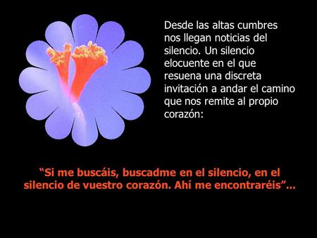 Desde las altas cumbres nos llegan noticias del silencio. Un silencio elocuente en el que resuena una discreta invitación a andar el camino que nos remite.