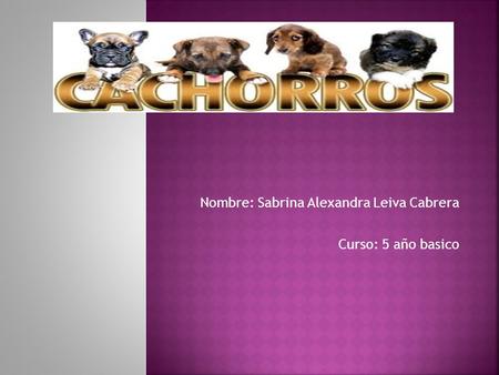 Nombre: Sabrina Alexandra Leiva Cabrera Curso: 5 año basico.