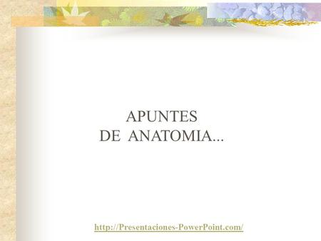 APUNTES DE  ANATOMIA... http://Presentaciones-PowerPoint.com/