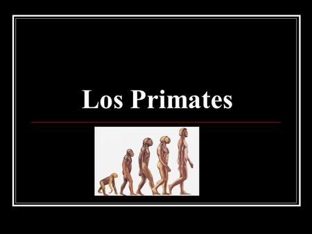 Los Primates.
