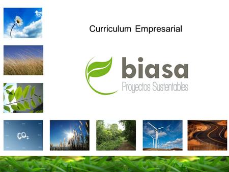 Curriculum Empresarial