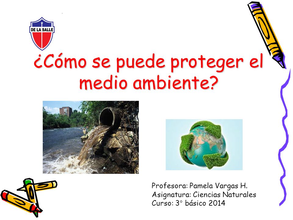 Cómo se puede proteger el medio ambiente? - ppt video online descargar