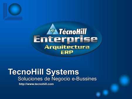 TecnoHill Systems Soluciones de Negocio e-Bussines