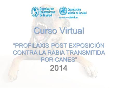 Importancia La Rabia es una zoonosis viral fatal y un problema serio para la salud pública. Se puede prevenir al 100% aplicando profilaxis pre exposición.