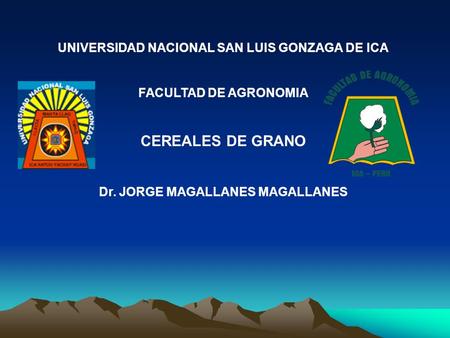 CEREALES DE GRANO UNIVERSIDAD NACIONAL SAN LUIS GONZAGA DE ICA