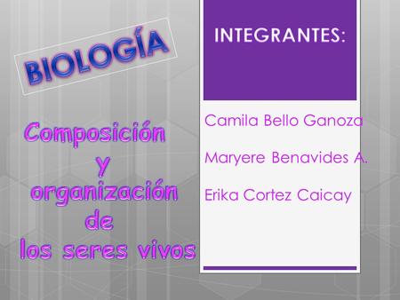 Camila Bello Ganoza Maryere Benavides A. Erika Cortez Caicay.