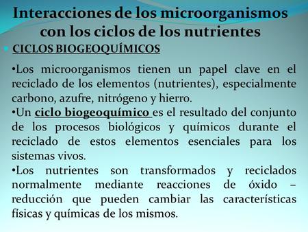 Interacciones de los microorganismos con los ciclos de los nutrientes