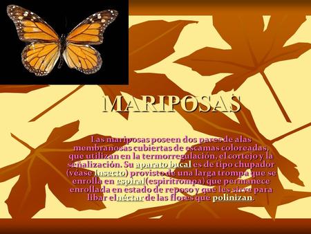 MARIPOSAS Las mariposas poseen dos pares de alas membranosas cubiertas de escamas coloreadas, que utilizan en la termorregulación, el cortejo y la señalización.