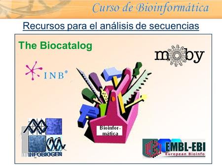 © Copyright Ebiointel,SL 2006 Recursos para el análisis de secuencias The Biocatalog.