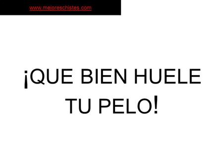 Www.mejoreschistes.com ¡ QUE BIEN HUELE TU PELO !.