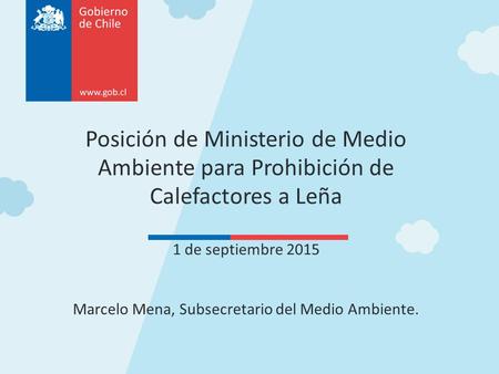 Marcelo Mena, Subsecretario del Medio Ambiente.