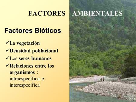 FACTORES AMBIENTALES Factores Bióticos La vegetación