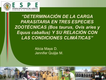 “DETERMINACIÓN DE LA CARGA PARASITARIA EN TRES ESPECIES ZOOTÉCNICAS (Bos taurus, Ovis aries y Equus caballus) Y SU RELACIÓN CON LAS CONDICIONES CLIMÁTICAS”