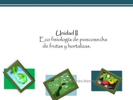 Unidad II Eco fisiología de poscosecha de frutas y hortalizas.