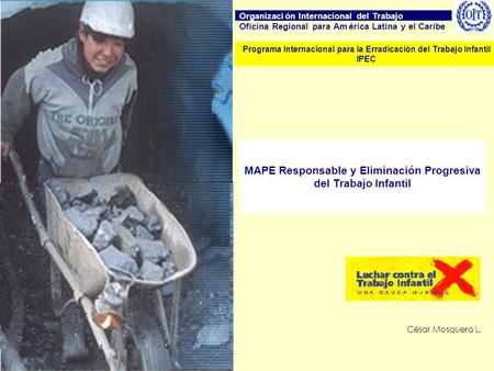 MAPE Responsable y Eliminación Progresiva del Trabajo Infantil César Mosquera L. Programa Internacional para la Erradicación del Trabajo Infantil IPEC.