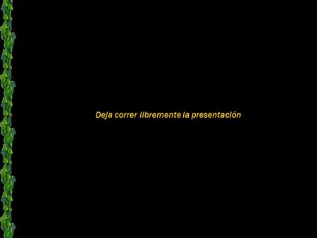 Deja correr libremente la presentación ¿SABÍAS QUE MÉXICO TUVO DÍAS DE GLORIA? FUE ANTES DE QUE HUBIERA MEXICANOS COMO LOS DE AHORA… 22 de Septiembre.