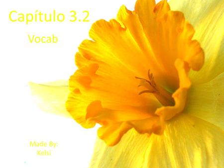 Capítulo 3.2 Vocab Made By: Kelsi. Las oficinas de… The offices of..