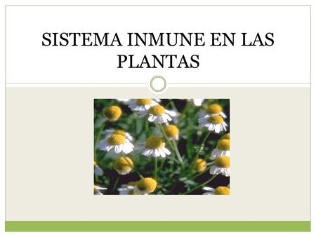 SISTEMA INMUNE EN LAS PLANTAS