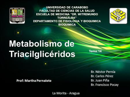 Metabolismo de Triacilglicéridos Br. Néstor Pernía Br. Carlos Pérez